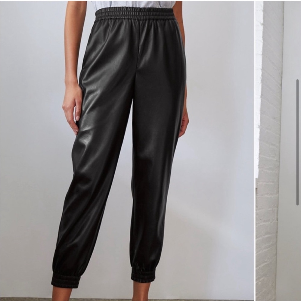 Babaton Aritzia Zedel Vegan Leather Jogger Pants
Size Large